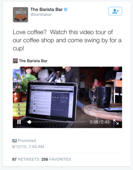 Twitter Promoted Video Tweet