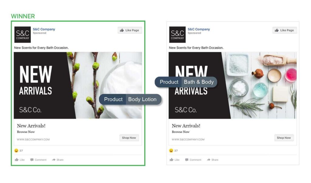 Single Product vs. Multiple Product Types 