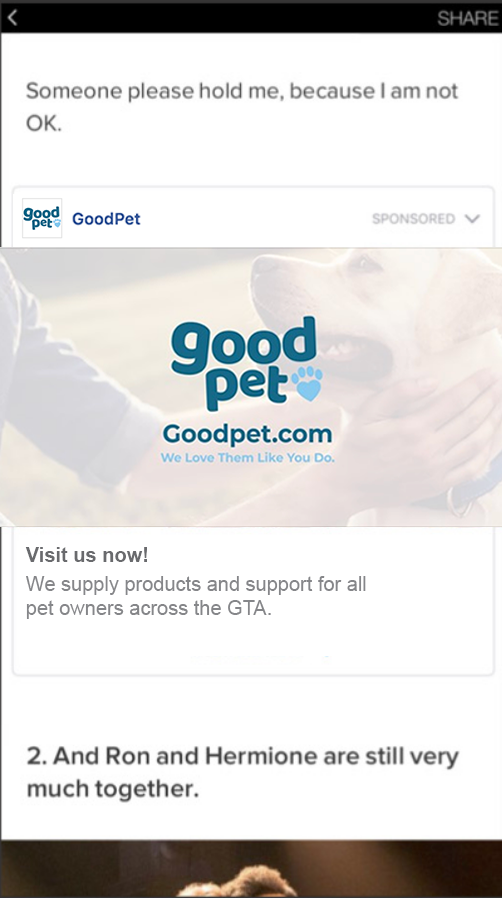 Facebook Instant Article